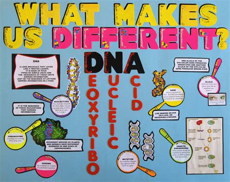 science poster ideas for kids